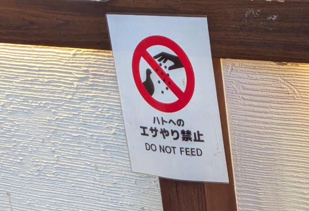 銀のあん　注意事項（ハトのエサやり禁止）