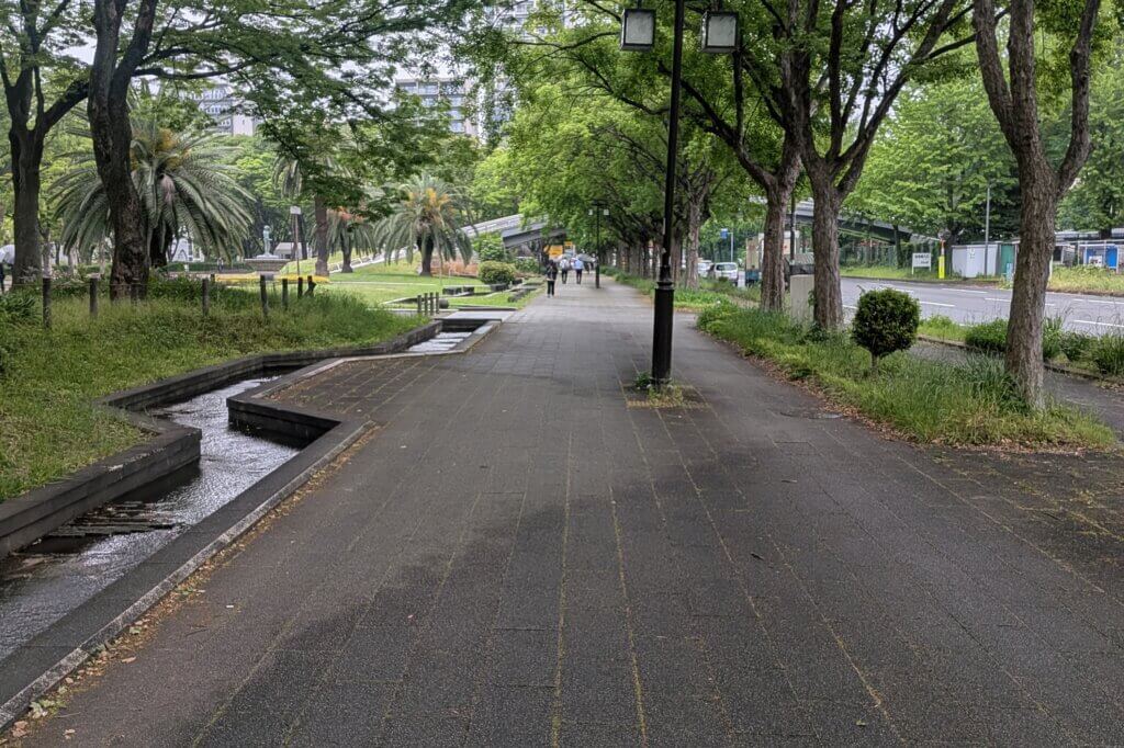 白川公園前の歩道