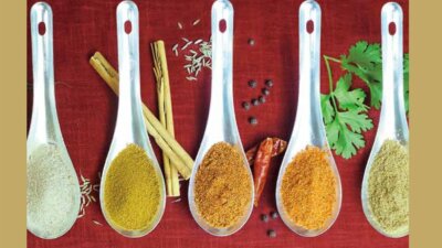 炎旨大鶏排(エンシダージーパイ) の5種類のスパイス